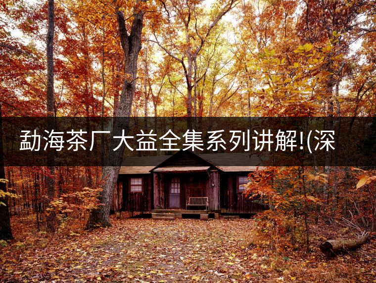 勐海茶廠大益全集系列講解!(深度講解大益茶品，建議收藏...勐海茶廠大益全集系列講解?。ㄉ疃戎v解大益茶品，建議收藏）