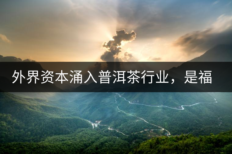 外界資本涌入普洱茶行業(yè)，是福還是禍？