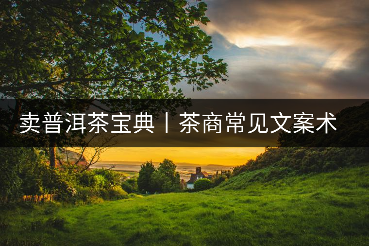 賣普洱茶寶典丨茶商常見文案術語