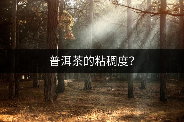 普洱茶的粘稠度？