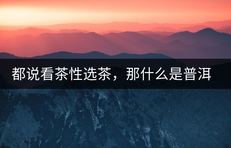 都說(shuō)看茶性選茶，那什么是普洱茶的“茶性”呢？