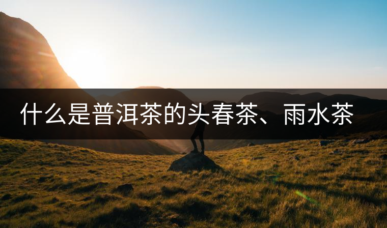 什么是普洱茶的頭春茶、雨水茶和谷花茶，怎樣區(qū)別？