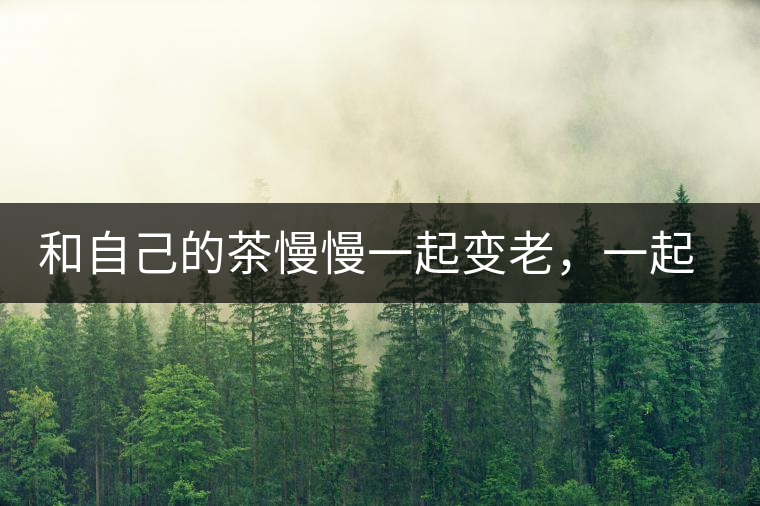 和自己的茶慢慢一起變老，一起變好