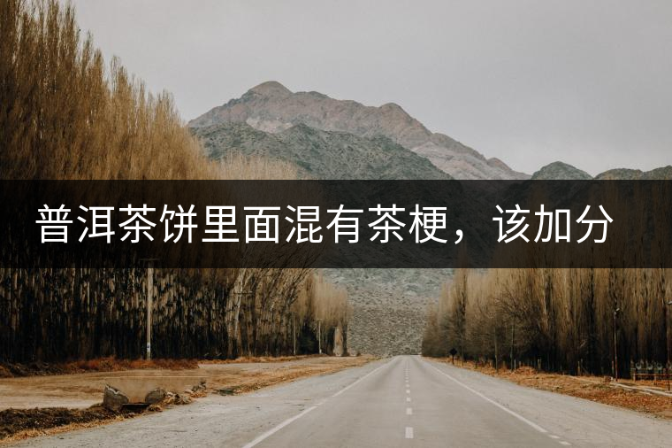 普洱茶餅里面混有茶梗，該加分還是減分？