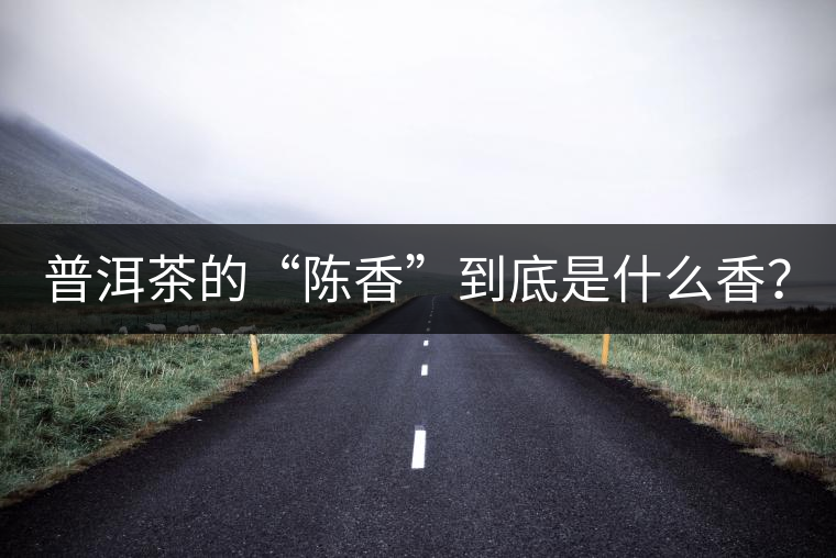 普洱茶的“陳香”到底是什么香？