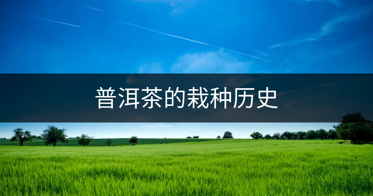 普洱茶的栽種歷史