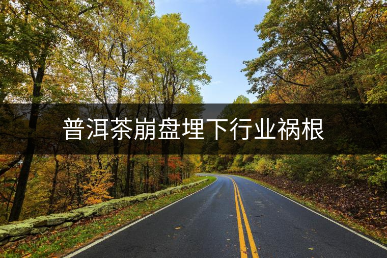 普洱茶崩盤(pán)埋下行業(yè)禍根 普洱茶崩盤(pán)埋下行業(yè)禍根