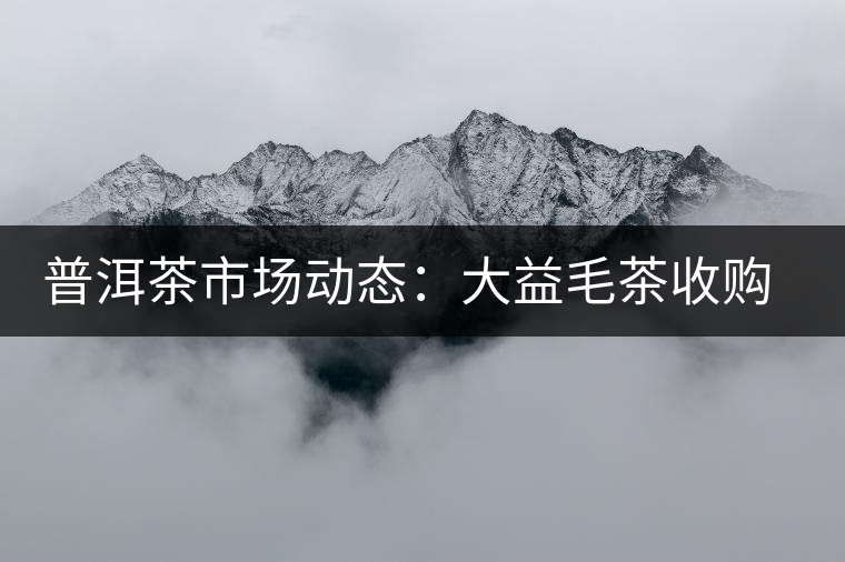 普洱茶市場(chǎng)動(dòng)態(tài)：大益毛茶收購(gòu)價(jià)跌兩成？