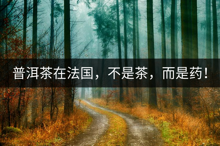 普洱茶在法國，不是茶，而是藥！