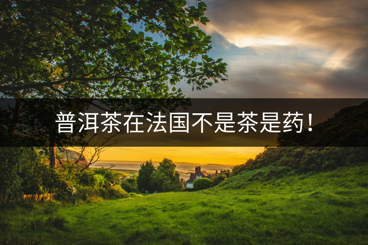普洱茶在法國(guó)不是茶是藥！