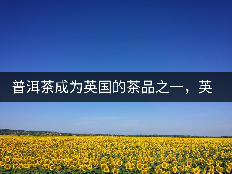 普洱茶成為英國的茶品之一，英國雜志給出7大理由