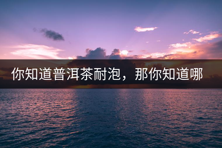 你知道普洱茶耐泡，那你知道哪一類普洱茶比較耐泡？