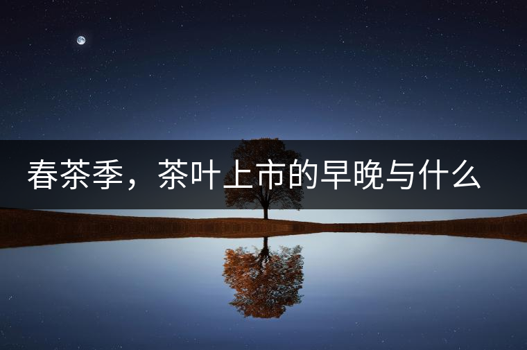 春茶季，茶葉上市的早晚與什么有關(guān)