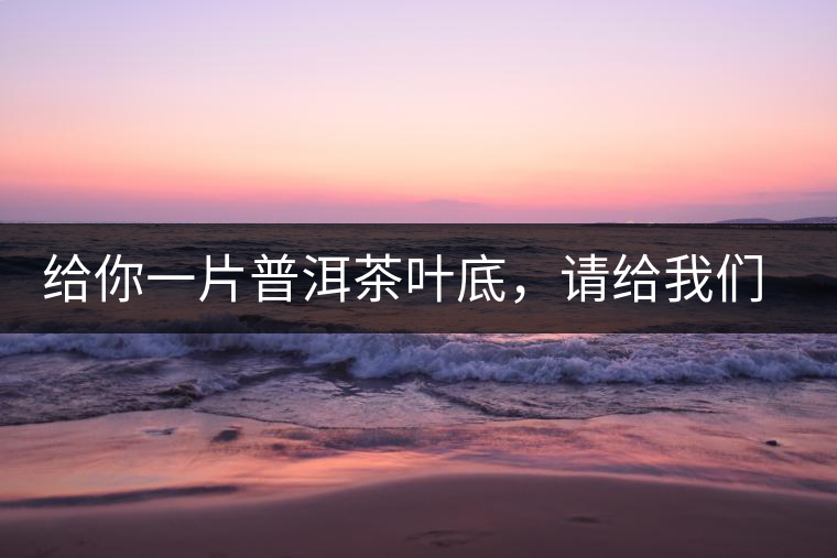 給你一片普洱茶葉底，請給我們聊聊它的生態(tài)和樹齡