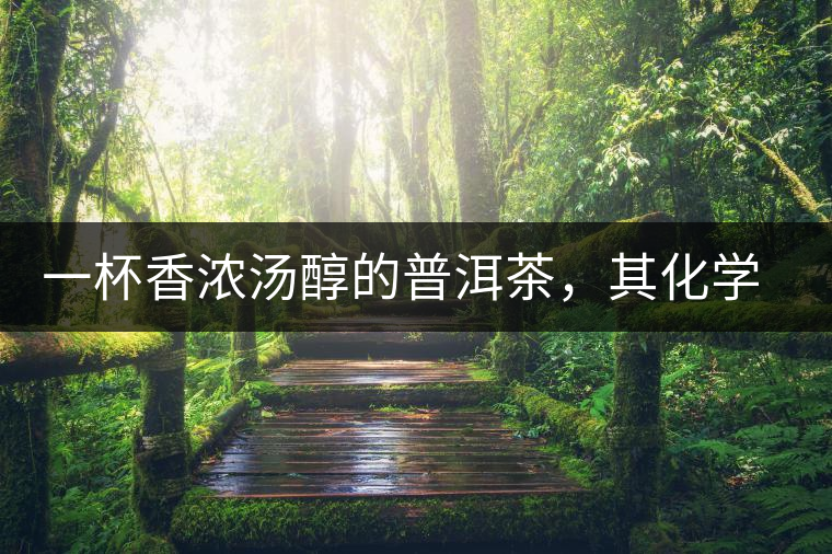 一杯香濃湯醇的普洱茶，其化學(xué)成分是怎樣的？