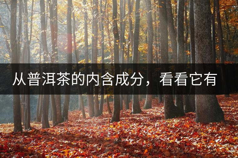 從普洱茶的內(nèi)含成分，看看它有什么功效？