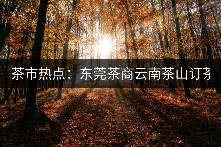 茶市熱點(diǎn)：東莞茶商云南茶山訂茶 豪派300萬(wàn)