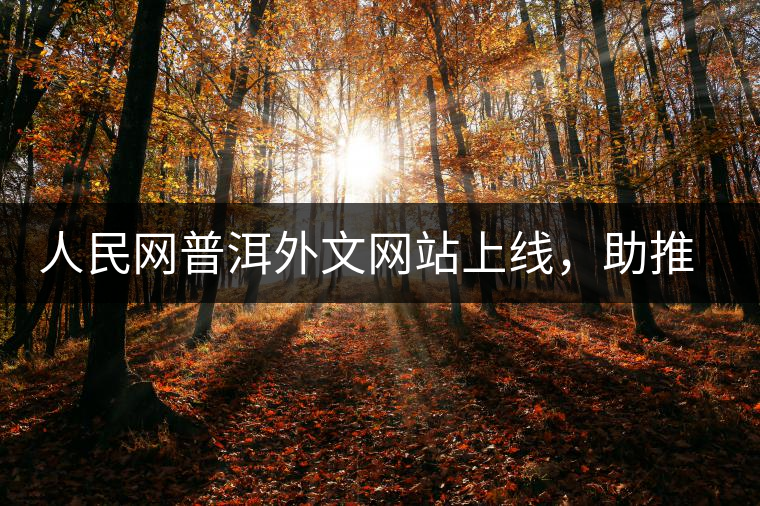 人民網(wǎng)普洱外文網(wǎng)站上線，助推普洱茶國際影響力