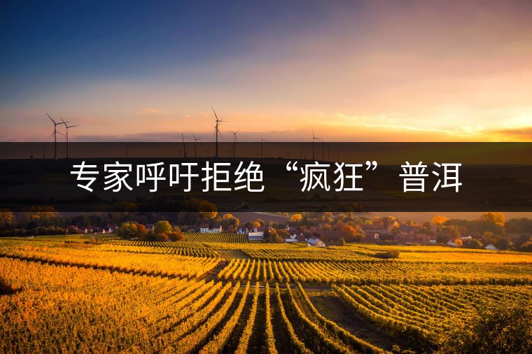 專家呼吁拒絕“瘋狂”普洱 專家呼吁拒絕“瘋狂”普洱