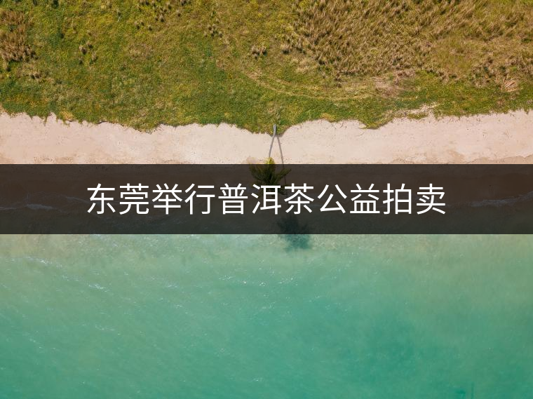 東莞舉行普洱茶公益拍賣 東莞舉行普洱茶公益拍賣