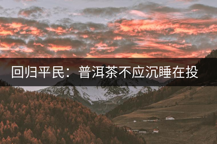 回歸平民：普洱茶不應(yīng)沉睡在投資藏家的倉庫里