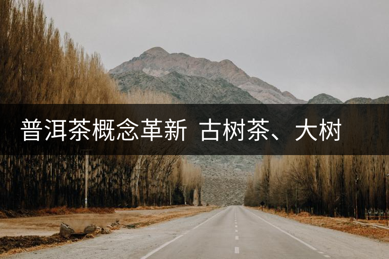 普洱茶概念革新  古樹茶、大樹茶定位被再次厘清