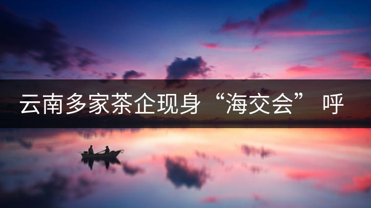 云南多家茶企現(xiàn)身“海交會” 呼吁普洱茶投資應理性 云南多家茶企現(xiàn)身“海交會” 呼吁普洱茶投資應理性
