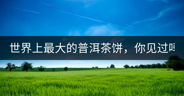 世界上最大的普洱茶餅，你見過嗎？