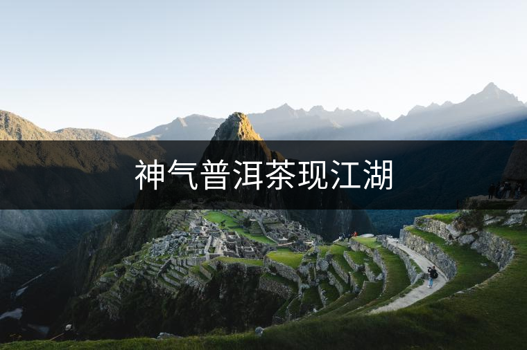 神氣普洱茶現(xiàn)江湖