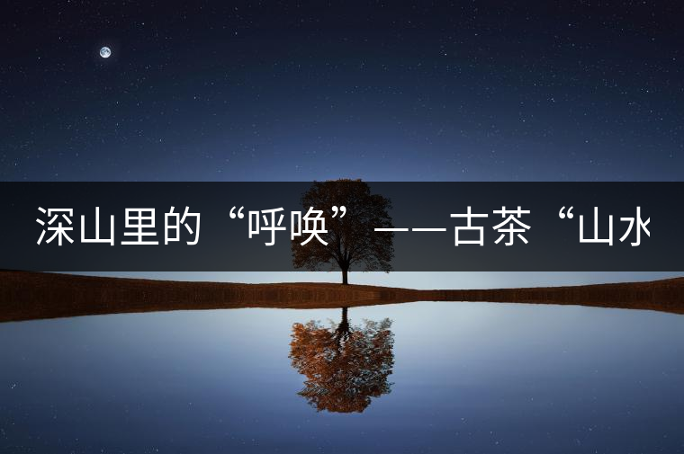 深山里的“呼喚”——古茶“山水間” 深山里的“呼喚”——古茶“山水間”