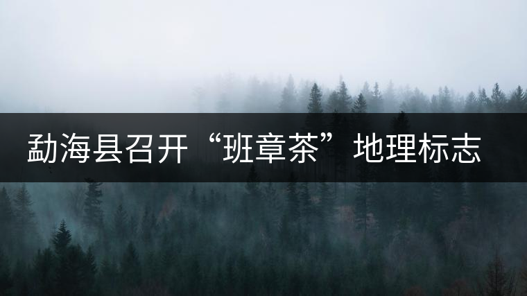 勐?？h召開“班章茶”地理標(biāo)志認(rèn)證評(píng)審會(huì)