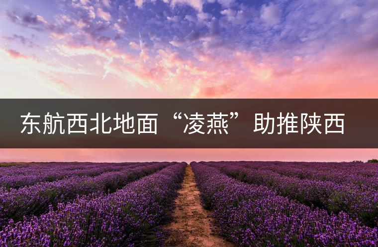 東航西北地面“凌燕”助推陜西省文化節(jié)開(kāi)幕