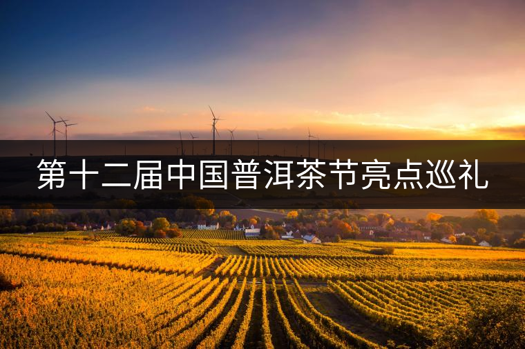 第十二屆中國普洱茶節(jié)亮點巡禮