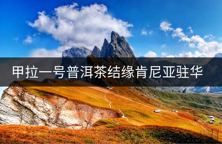 甲拉一號普洱茶結(jié)緣肯尼亞駐華專員 甲拉一號普洱茶結(jié)緣肯尼亞駐華專員