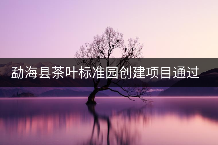 勐??h茶葉標(biāo)準(zhǔn)園創(chuàng)建項(xiàng)目通過(guò)省級(jí)驗(yàn)收 勐海縣茶葉標(biāo)準(zhǔn)園創(chuàng)建項(xiàng)目通過(guò)省級(jí)驗(yàn)收