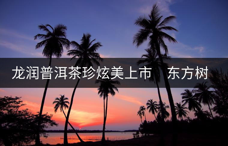 龍潤普洱茶珍炫美上市　東方樹葉再現(xiàn)神奇