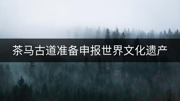 茶馬古道準備申報世界文化遺產