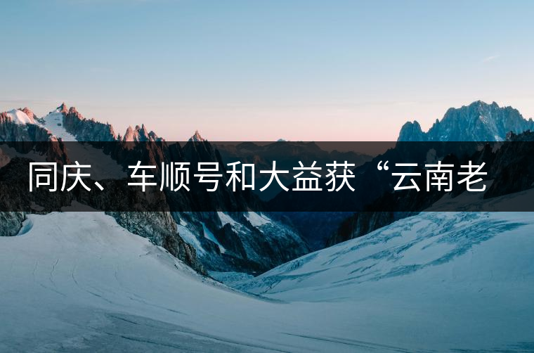 同慶、車順號(hào)和大益獲“云南老字號(hào)”稱號(hào)
