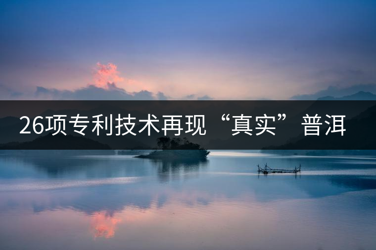 26項專利技術(shù)再現(xiàn)“真實”普洱茶