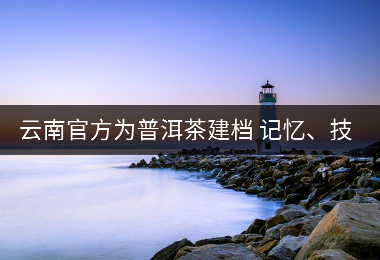 云南官方為普洱茶建檔 記憶、技藝雙傳承