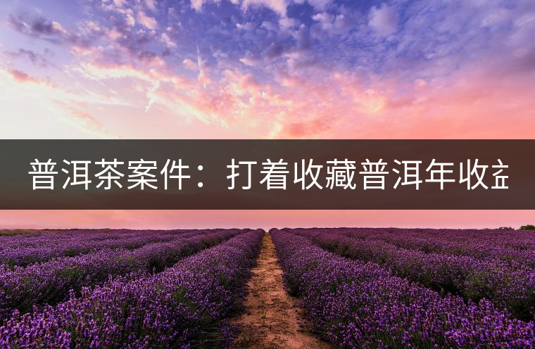 普洱茶案件：打著收藏普洱年收益不低于16%，非法吸收公眾存款