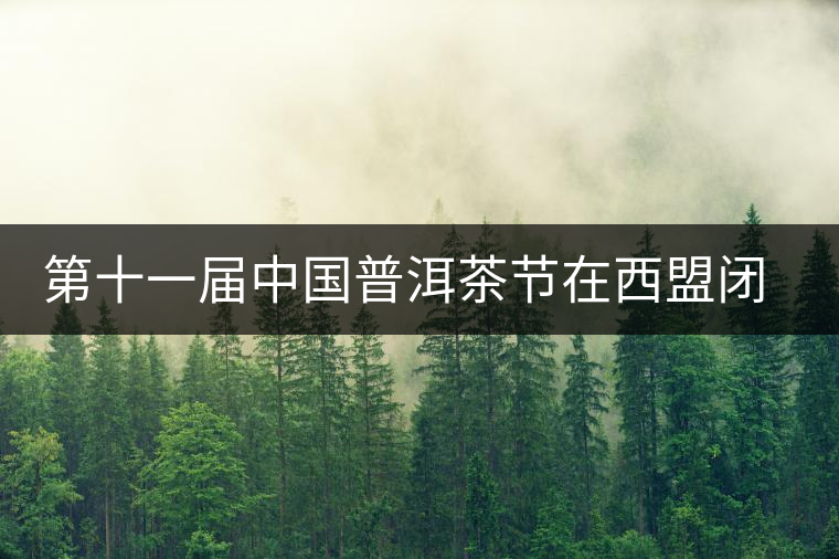 第十一屆中國(guó)普洱茶節(jié)在西盟閉幕 第十一屆中國(guó)普洱茶節(jié)在西盟閉幕