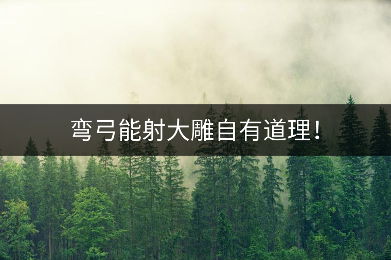 彎弓能射大雕自有道理！