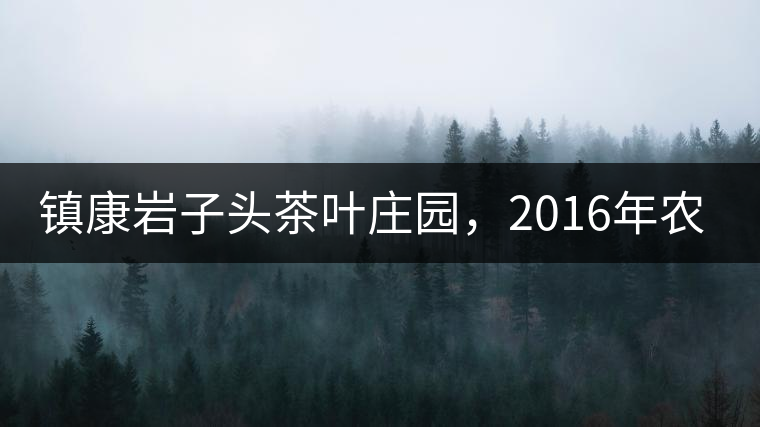 鎮(zhèn)康巖子頭茶葉莊園，2016年農(nóng)業(yè)產(chǎn)值達(dá)6000余萬(wàn)元