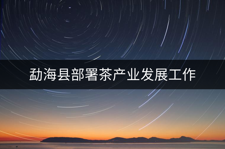 勐海縣部署茶產(chǎn)業(yè)發(fā)展工作