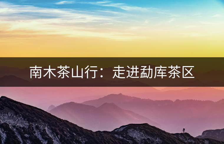 南木茶山行：走進(jìn)勐庫茶區(qū)