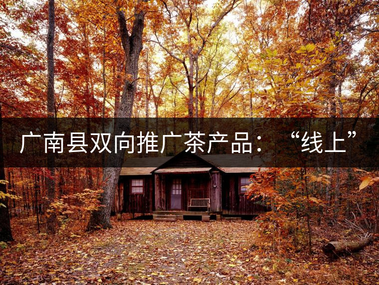 廣南縣雙向推廣茶產品：“線上”銷售茶葉已有100多家，“線下”銷售額已達百萬