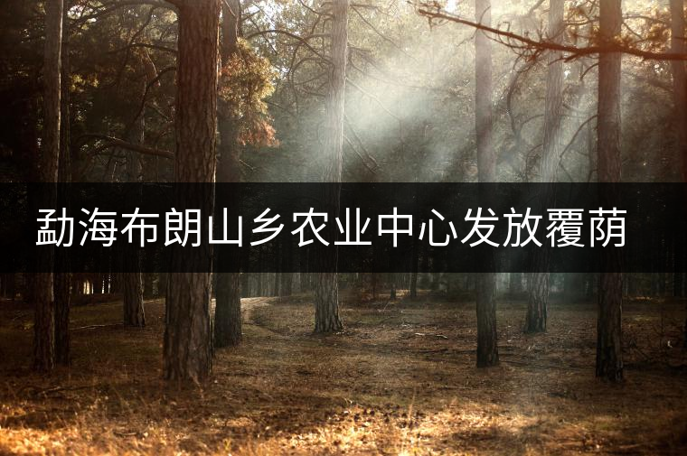 勐海布朗山鄉(xiāng)農(nóng)業(yè)中心發(fā)放覆蔭樹苗，創(chuàng)建衛(wèi)東生態(tài)茶園