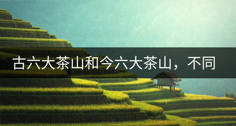 古六大茶山和今六大茶山，不同普洱茶品質(zhì)