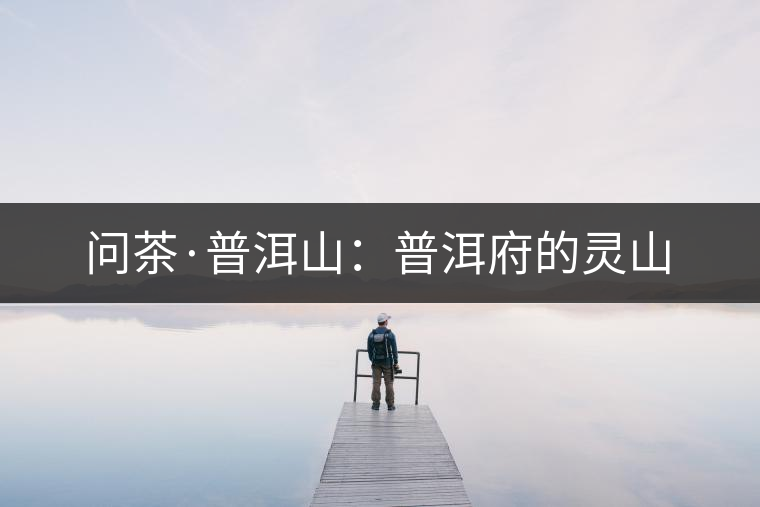 問茶·普洱山：普洱府的靈山